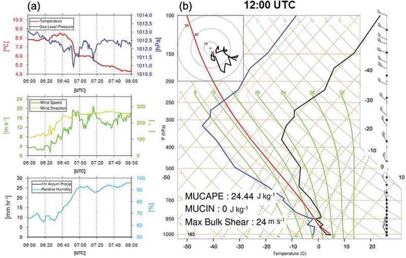 Fig. 10.