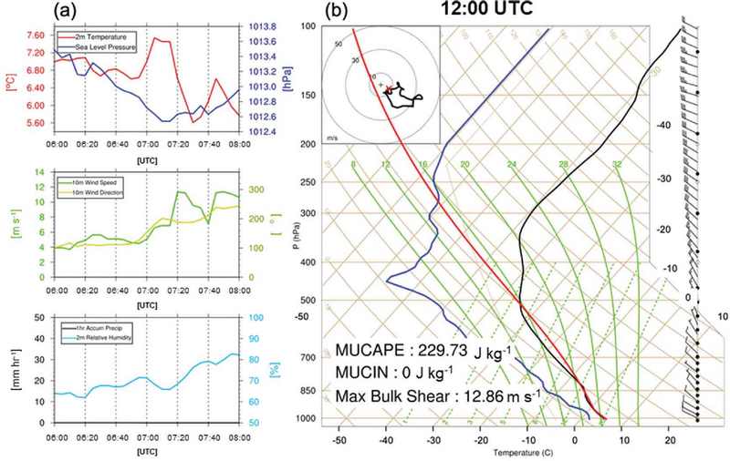 Fig. 12.